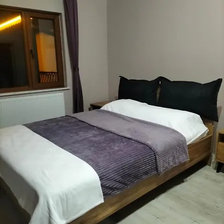 Sapanca - Serenity Hill Premium Willa *