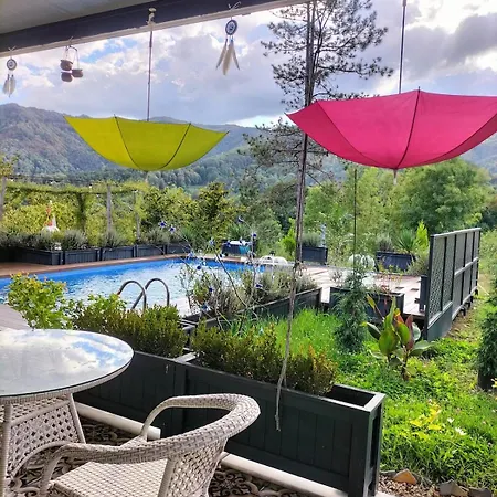 Sapanca - Serenity Hill Premium Geyve