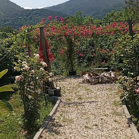 Willa Sapanca - Serenity Hill Premium Geyve