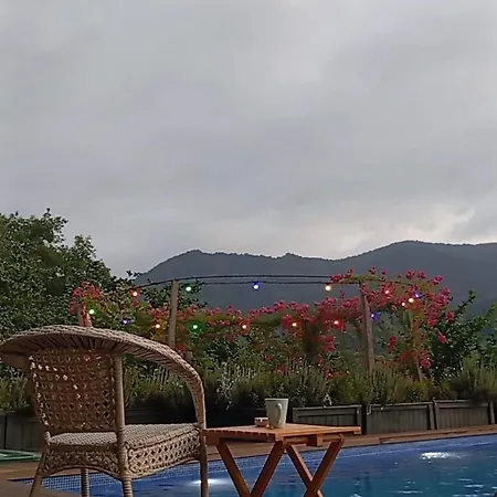 Sapanca - Serenity Hill Premium *