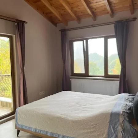 Sapanca - Serenity Hill Premium * Geyve